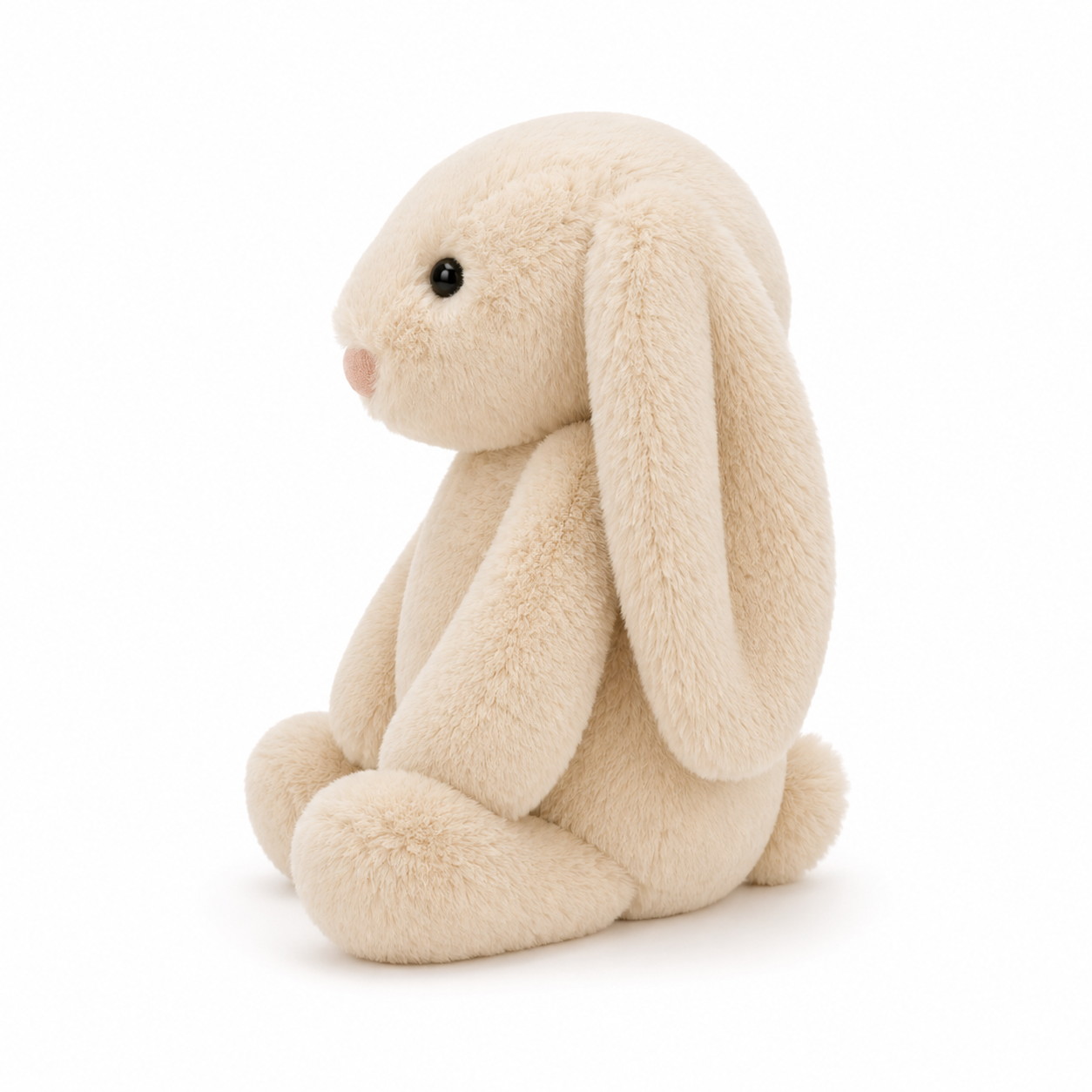 Lapin